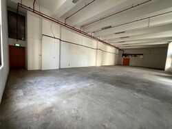 Joo Seng Warehouse (D13), Warehouse #613409151